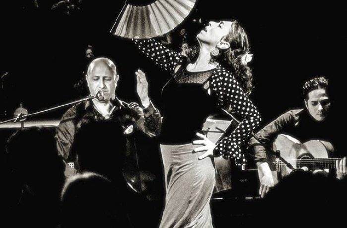 Am Samstag, 22. Februar 2020 um 20.00 Uhr “Suzann Bustani mit dem Trio Flamenco”